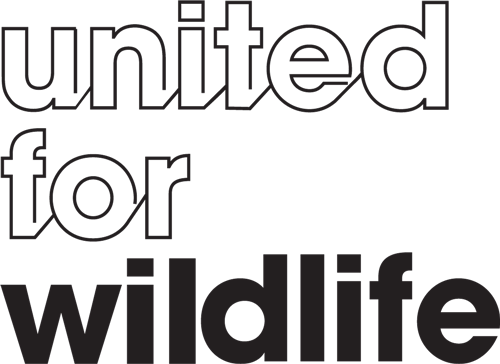ufw logo ufw logo
